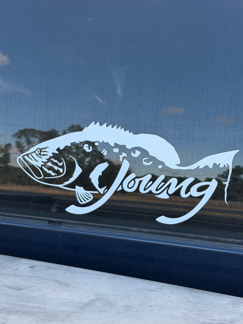 Vehicle Window Stickers